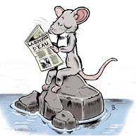 Souris%20grand.jpg